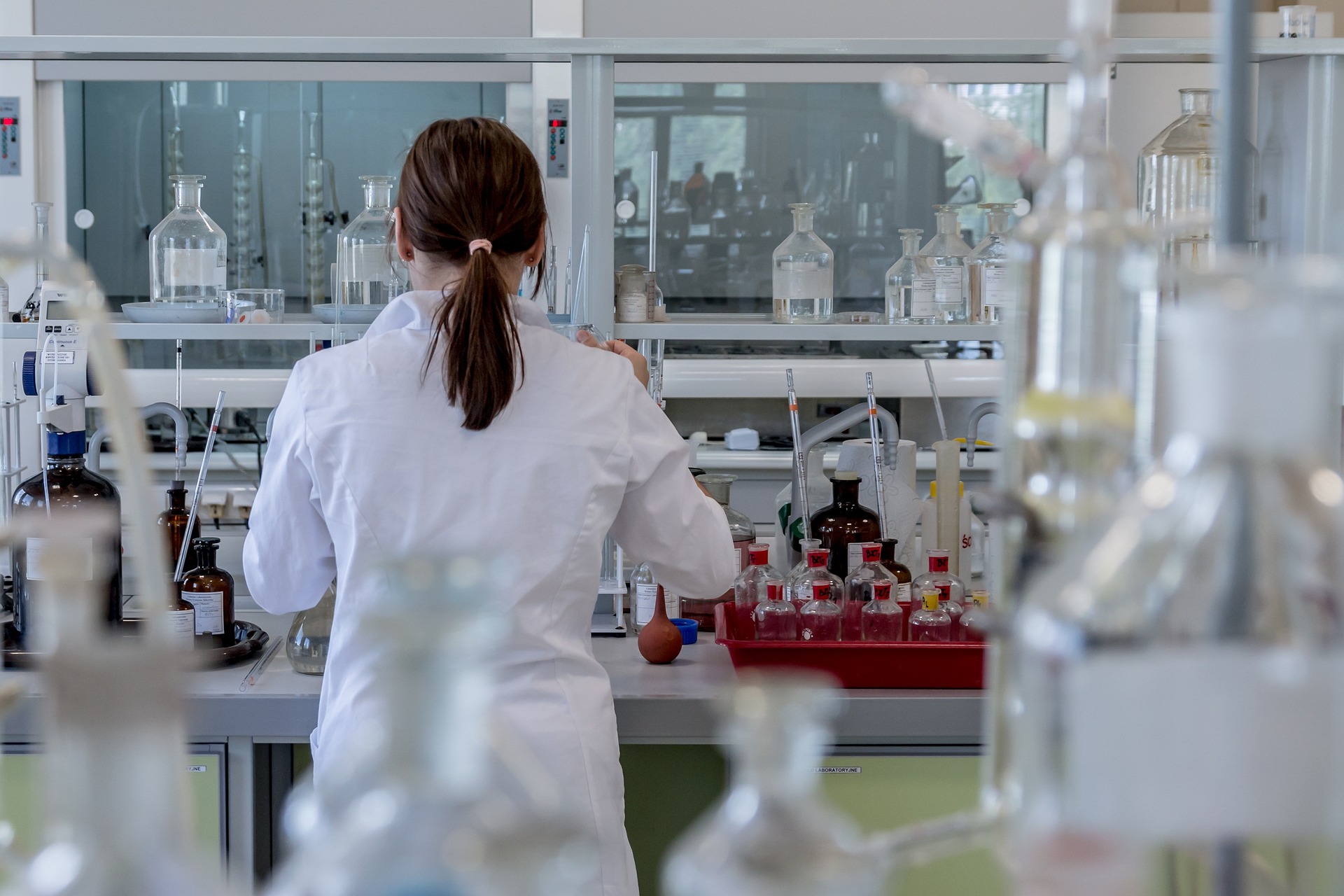Paternity Lab